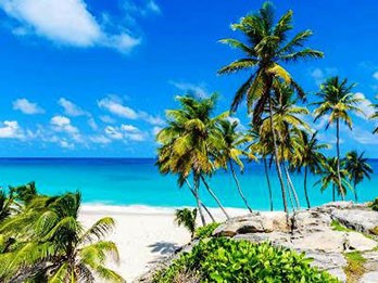 Kerala Tours Lead2 Image