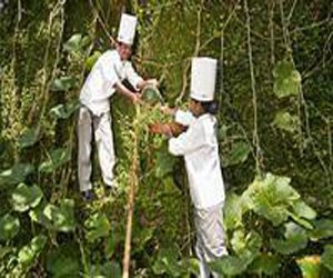 hotel spice village thekkady