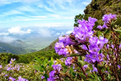 Kerala Express Tour Image